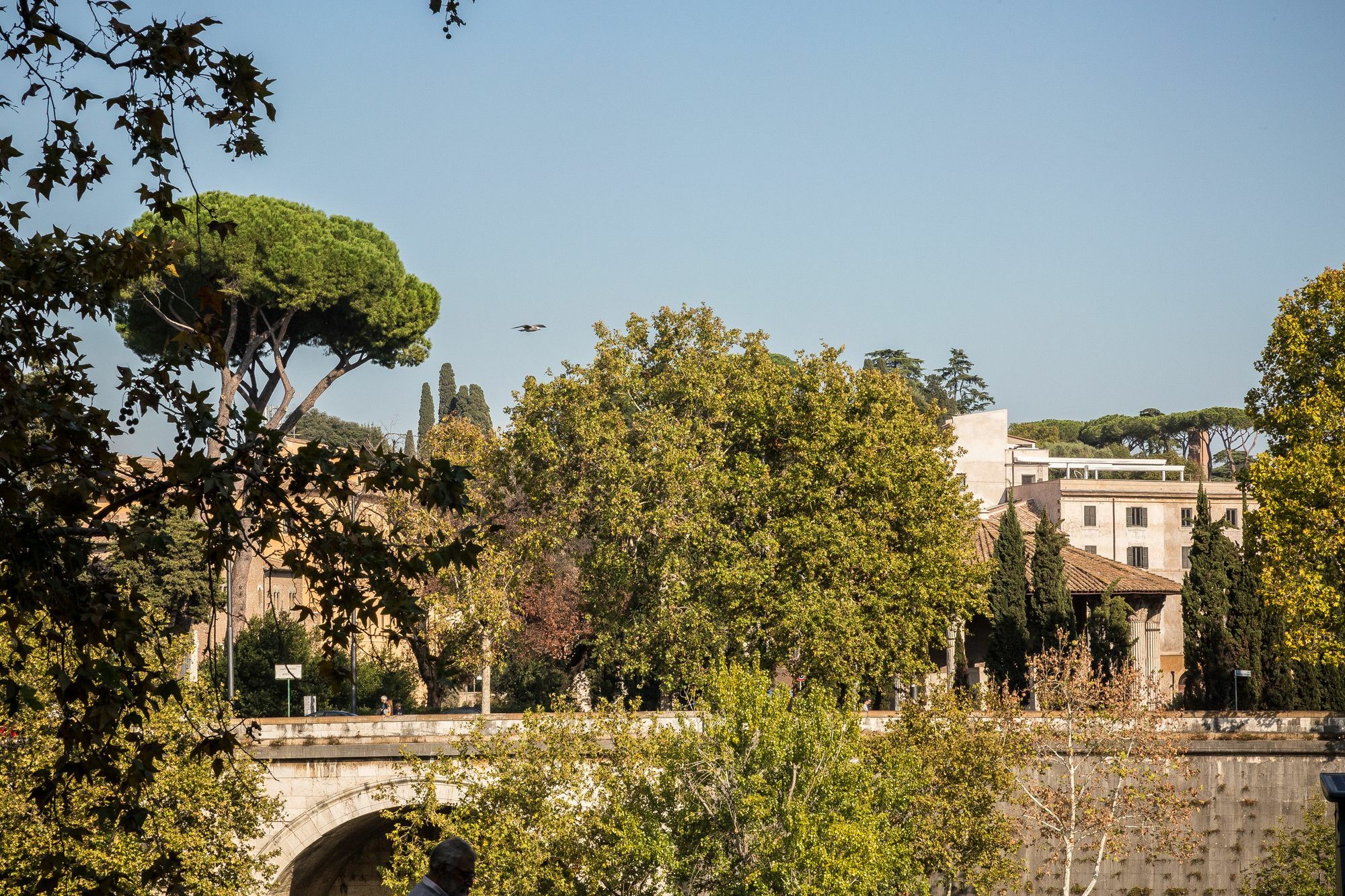 Palazzo Baj In Trastevere Pensión